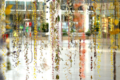 IF 2023 Image Content 1