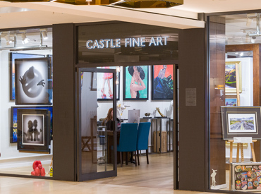 Castle Fine Art Retailer Page Banner