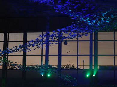 IF2025 Doves Updated Event Poster