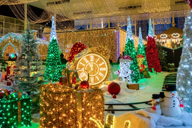 CMK Christmas Website Assets Train Ride